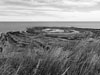 photography